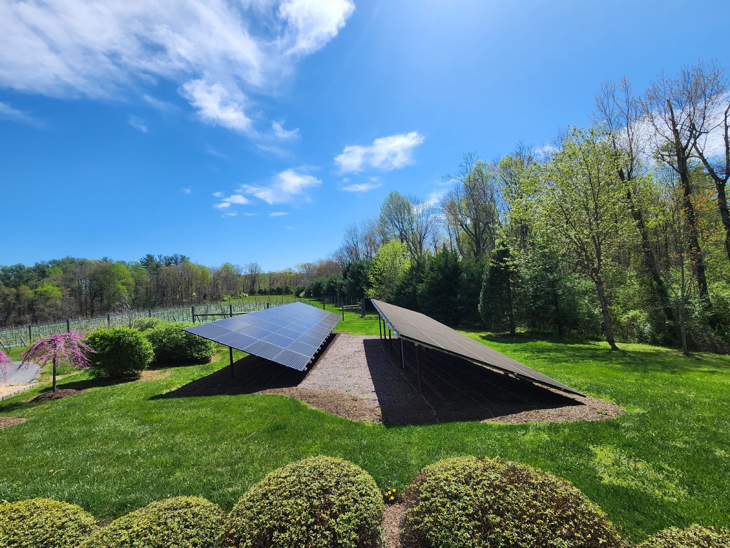 Prosper leadership and rep team